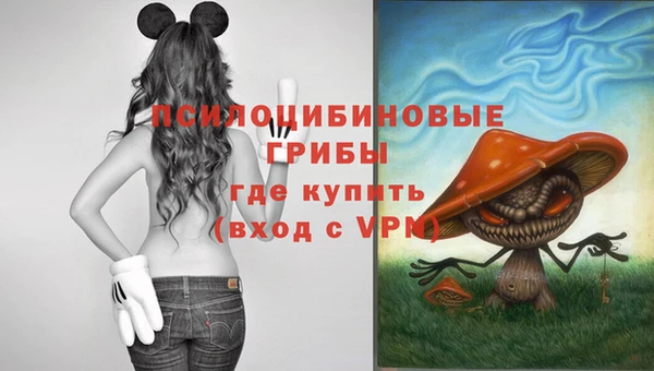 ешки Алексеевка