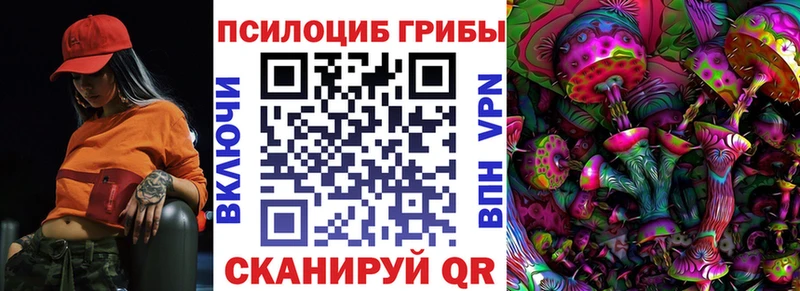 хочу   Билибино  Псилоцибиновые грибы Psilocybine cubensis 